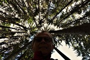 25  Impagabile il fascino degli abeti svettanti in cielo sul sent. 117 per il Monte Colle